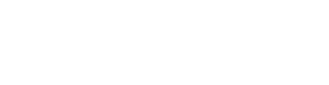 Logo do Premium Executive Hotel